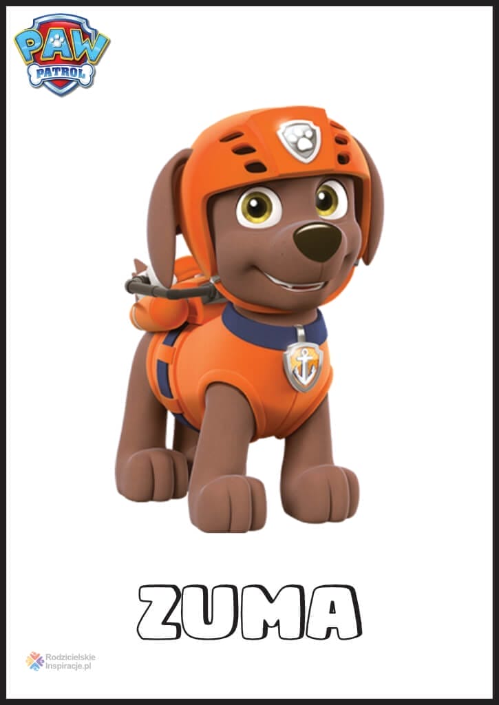 Zuma z Psiego Patrolu